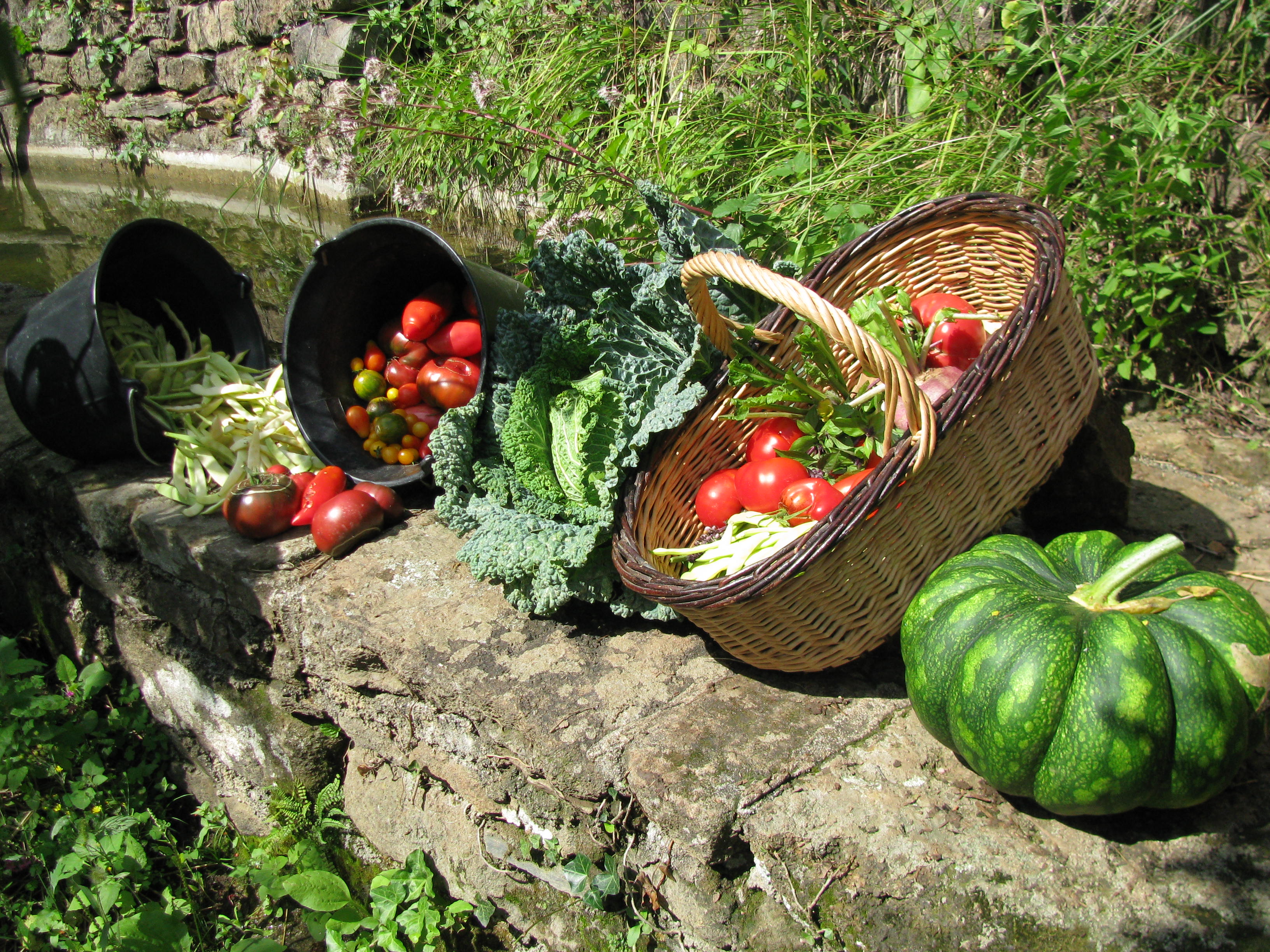 Photo de jardin 16